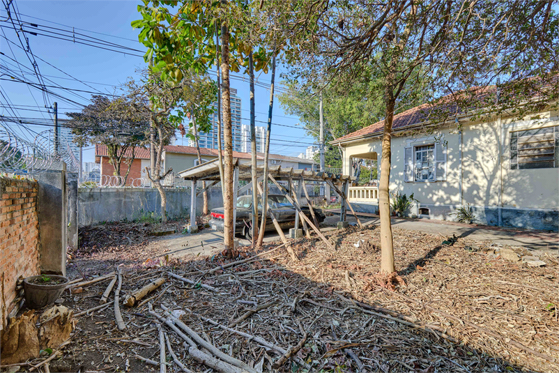 Foto REO1112164