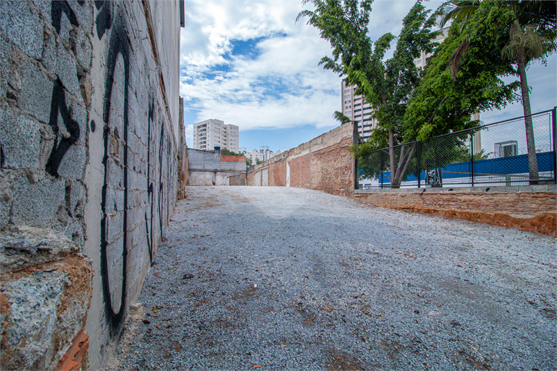 Foto REO1112172