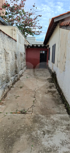 Foto REO1112223