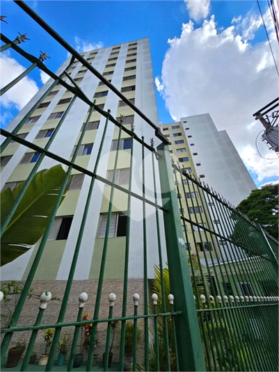 Foto REO1112234