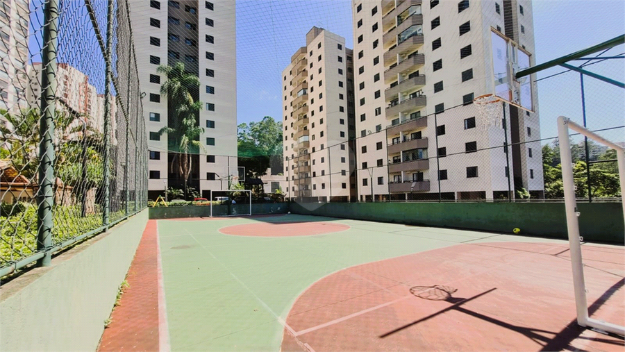 Foto REO1112249