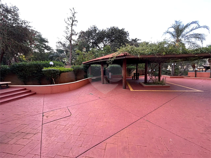 Foto REO1112259