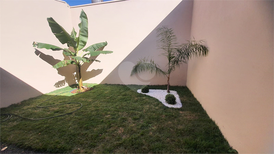 Foto REO1112266