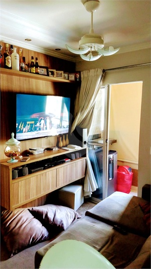 Foto REO1112268