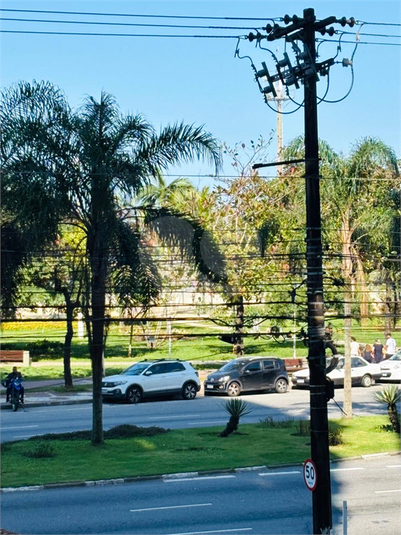 Foto REO1112282