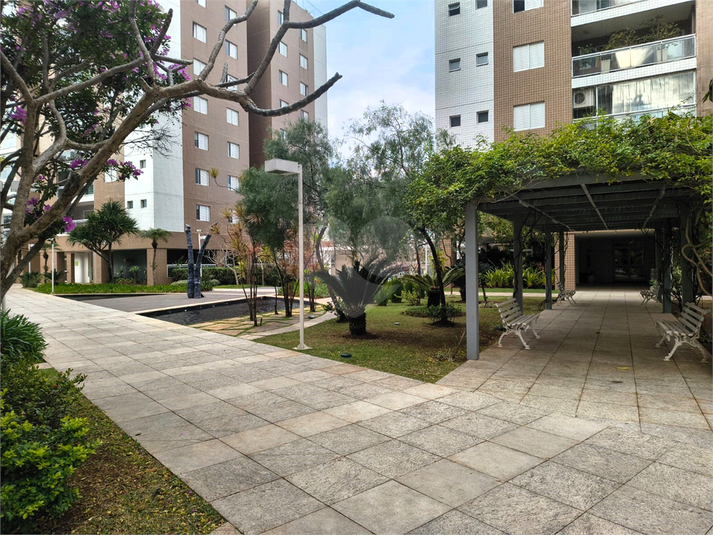 Foto REO1112293