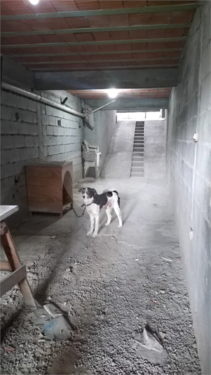 Foto REO1112301