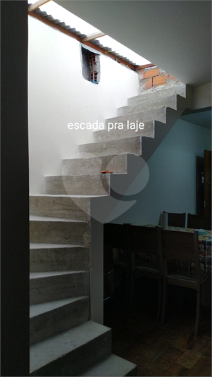 Foto REO1112301