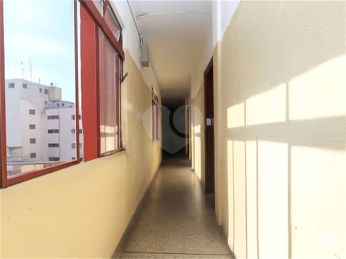 Foto REO1112318