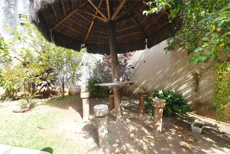 Foto REO1112326