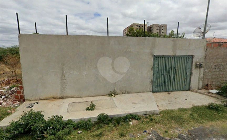 Foto REO1112342