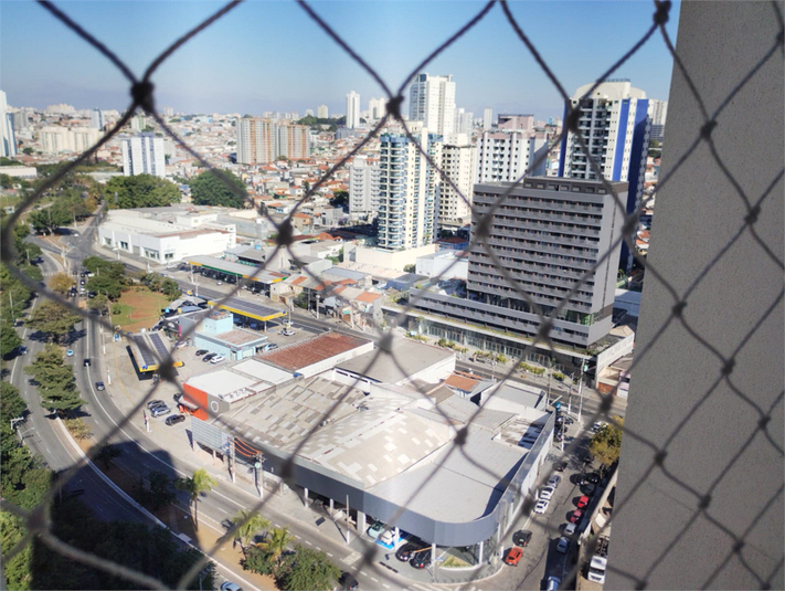 Foto REO1112350