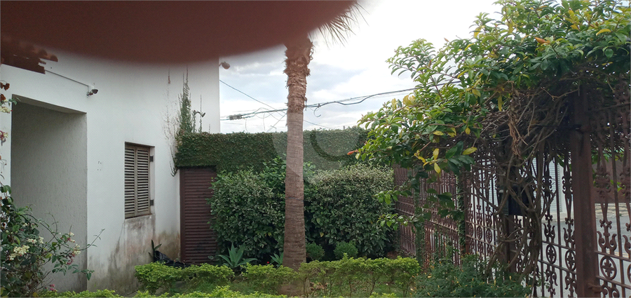 Foto REO1112358