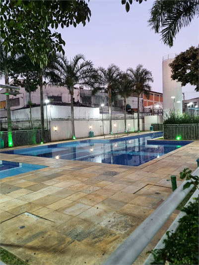 Foto REO1112364