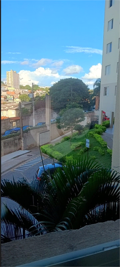 Foto REO1112376