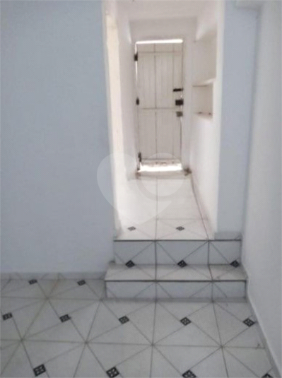 Foto REO1112386