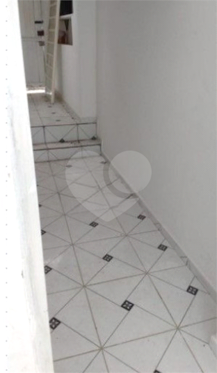 Foto REO1112386