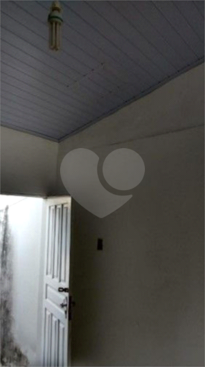 Foto REO1112386