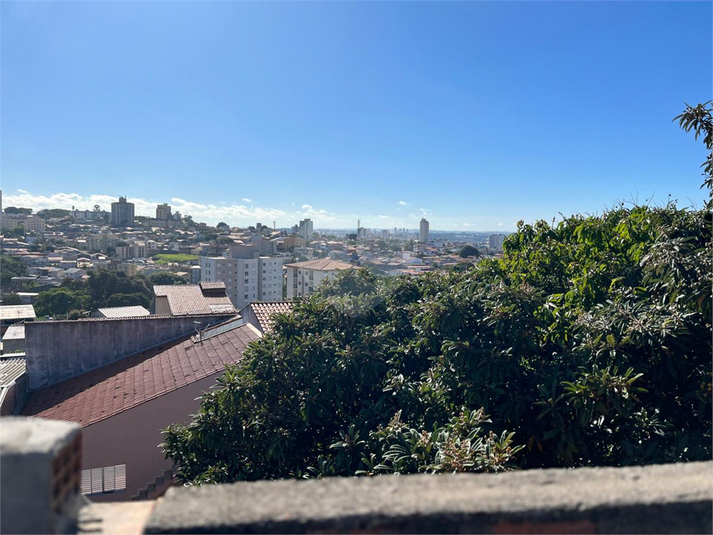 Foto REO1112394