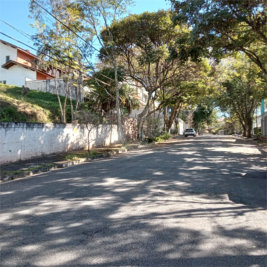 Foto REO1112406