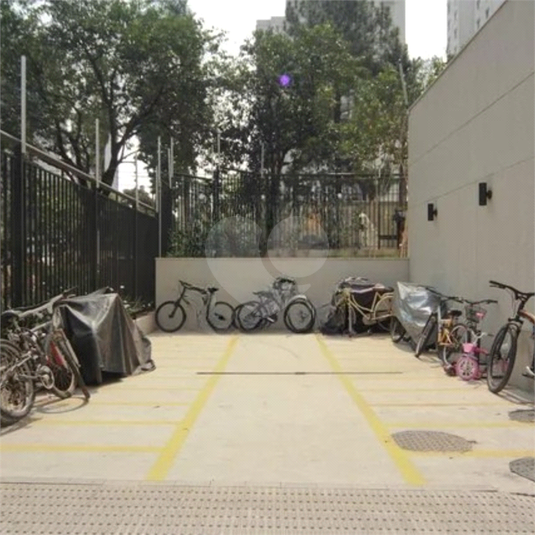 Foto REO1112419