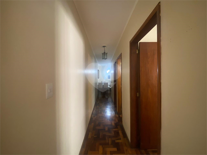 Foto REO1112423