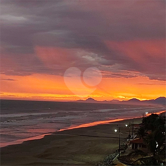 Foto REO1112432