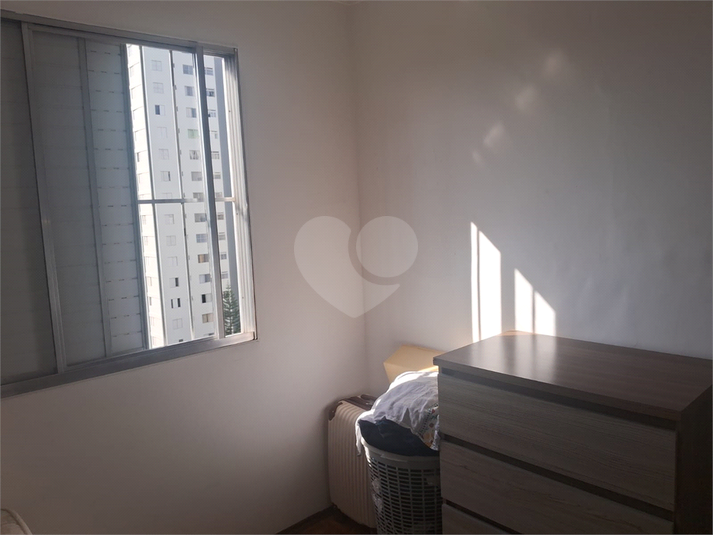 Foto REO1112435