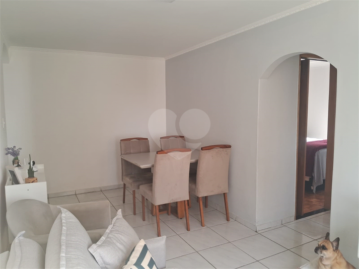 Foto REO1112435