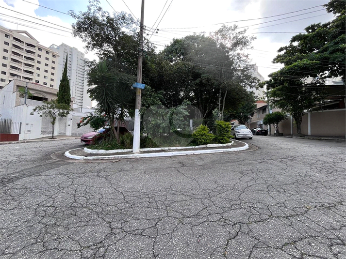 Foto REO1112442
