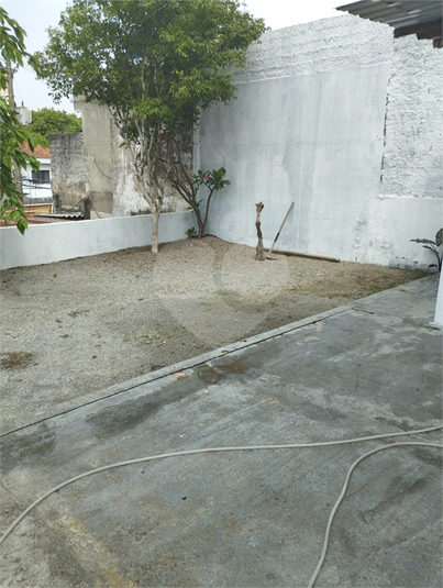 Foto REO1112443