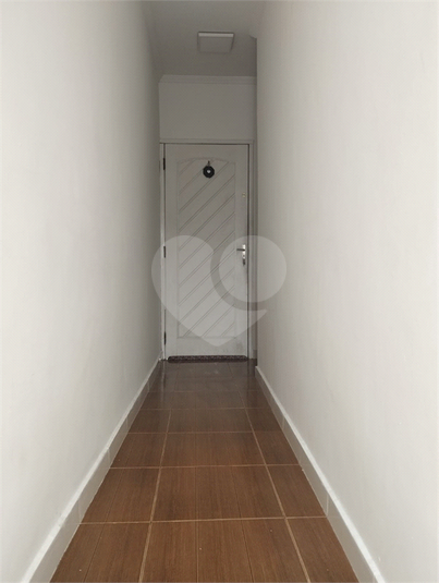 Foto REO1112443