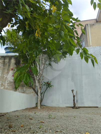 Foto REO1112443