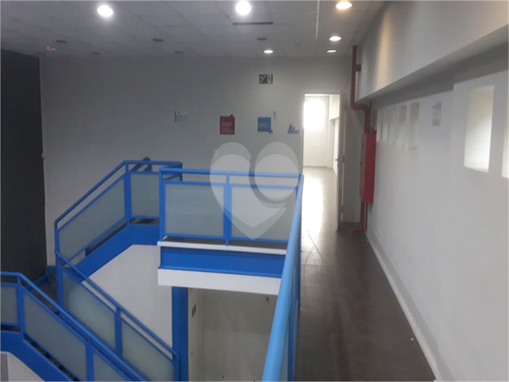 Foto REO1112447