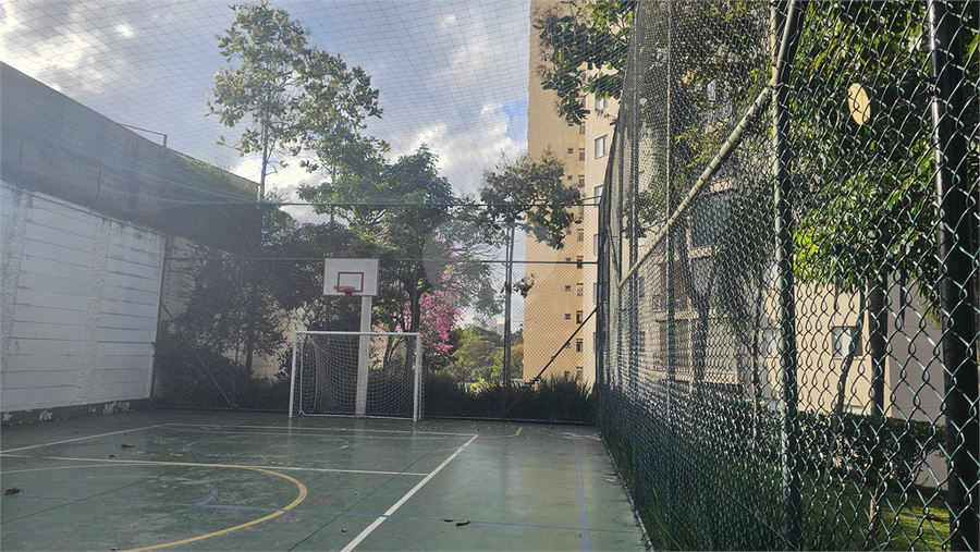Foto REO1112450