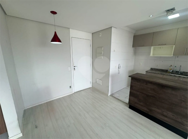 Foto REO1112458