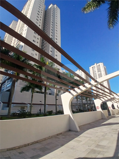 Foto REO1112464
