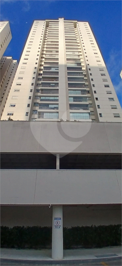 Foto REO1112464