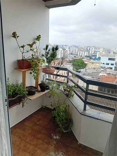 Foto REO1112472