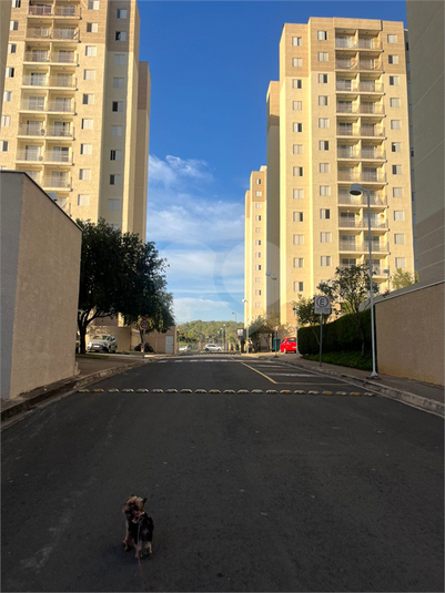 Foto REO1112475