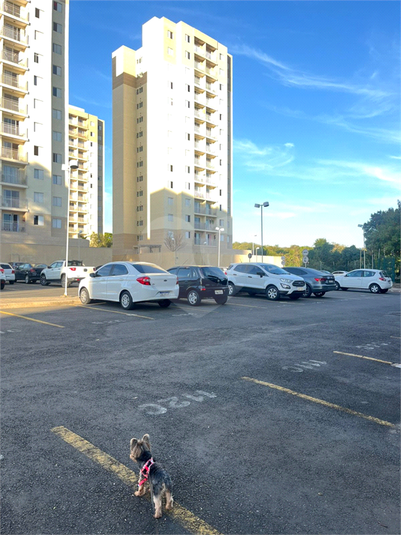 Foto REO1112475