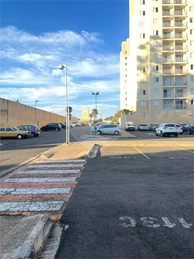 Foto REO1112475