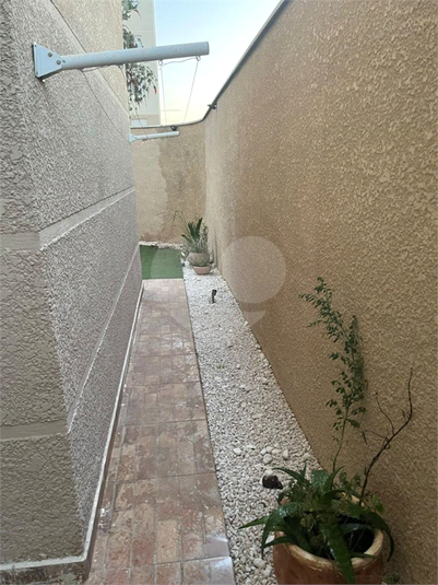 Foto REO1112475
