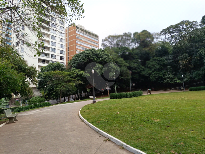 Foto REO1112476