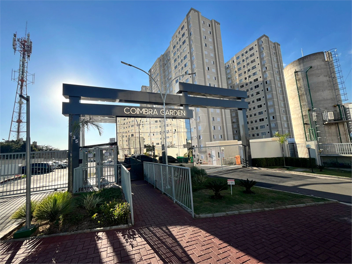 Foto REO1112479