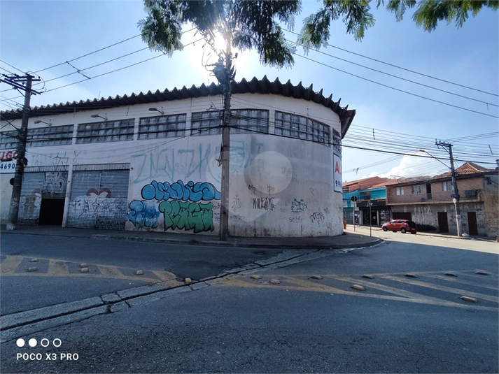 Foto REO1112480