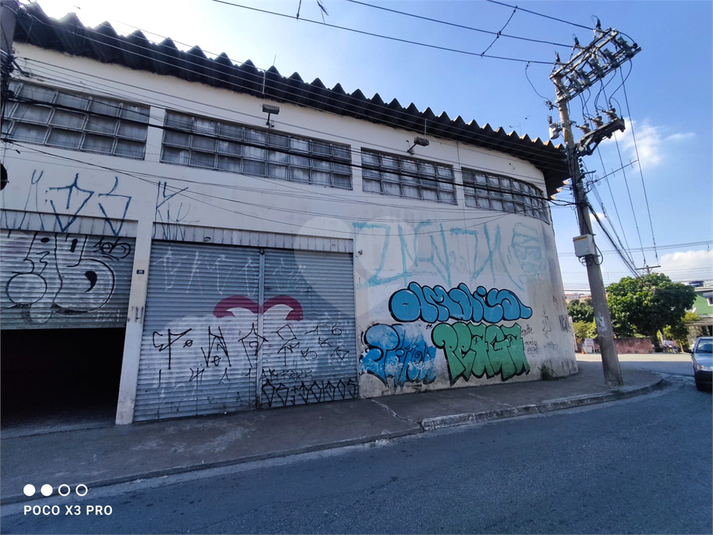 Foto REO1112480