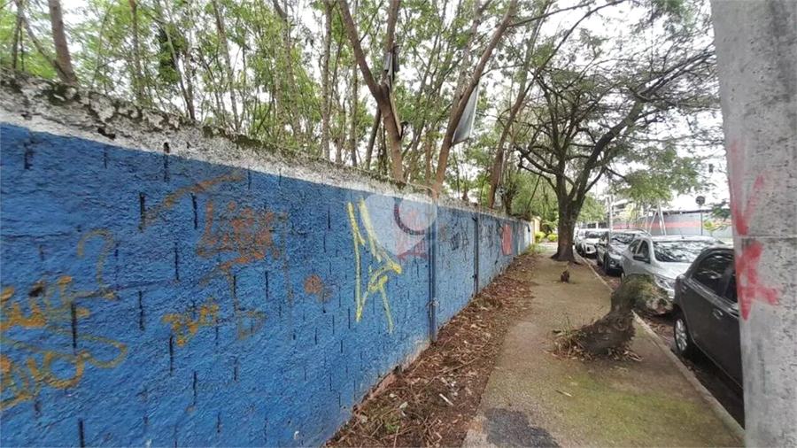 Foto REO1112486