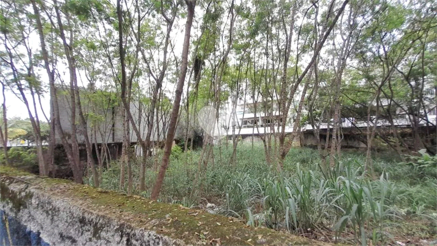 Foto REO1112486