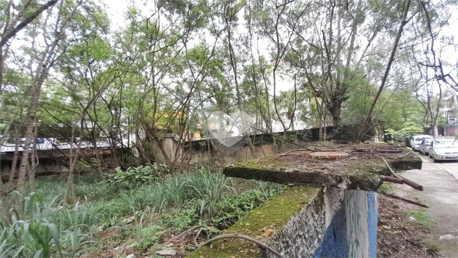 Foto REO1112486